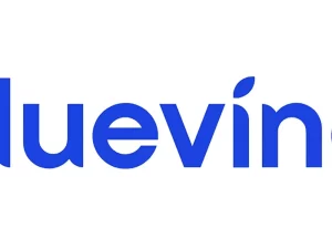 Bluevine Loans And How to Apply for Instant Approvals